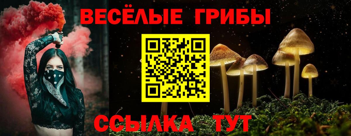 Гусь-Хрустальный  наркошоп  Вход с VPN  Псилоцибиновые грибы Cubensis  Галлюциногенные грибы мицелий 
